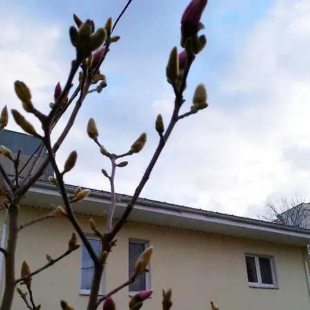 Guest house Alma Minsk